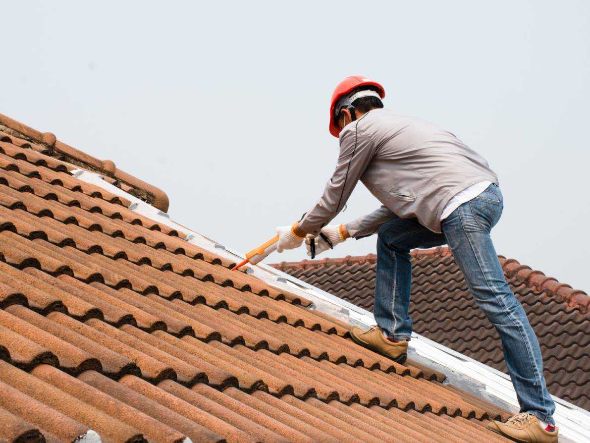 055db6bf0256091ccd24f7d80265300b (4)